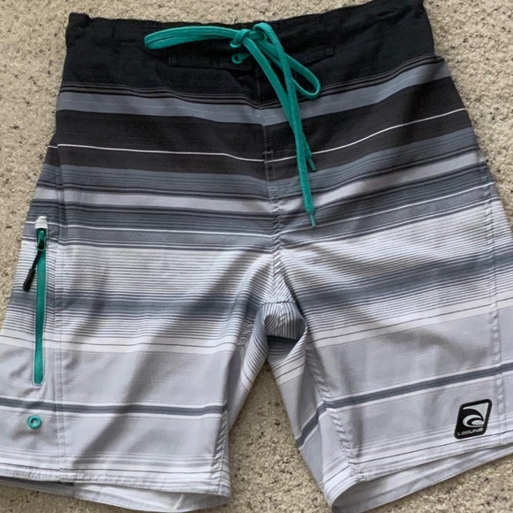 Laguna Swim Shorts / Trunks, Mens Small, Grey/White Striped - Picture 2 of 8